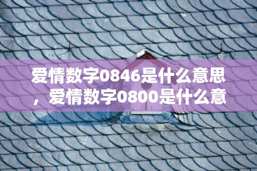 爱情数字0846是什么意思，爱情数字0800是什么意思