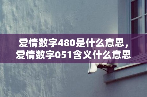 爱情数字480是什么意思，爱情数字051含义什么意思