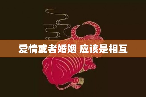 爱情或者婚姻 应该是相互