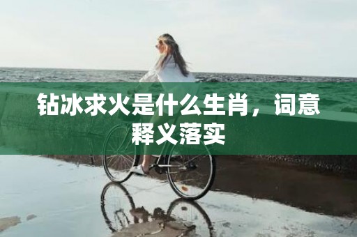 钻冰求火是什么生肖，词意释义落实