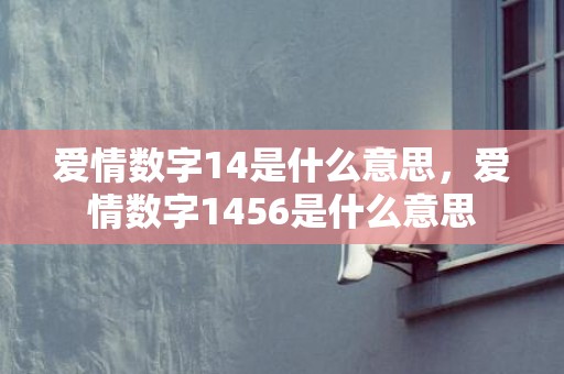 爱情数字14是什么意思，爱情数字1456是什么意思