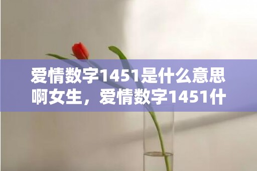 爱情数字1451是什么意思啊女生，爱情数字1451什么意思