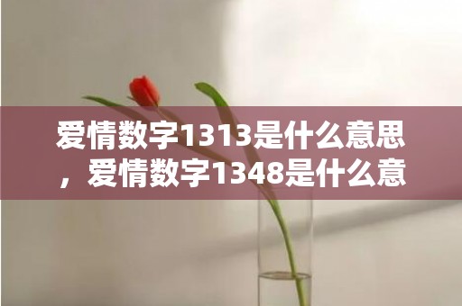 爱情数字1313是什么意思，爱情数字1348是什么意思