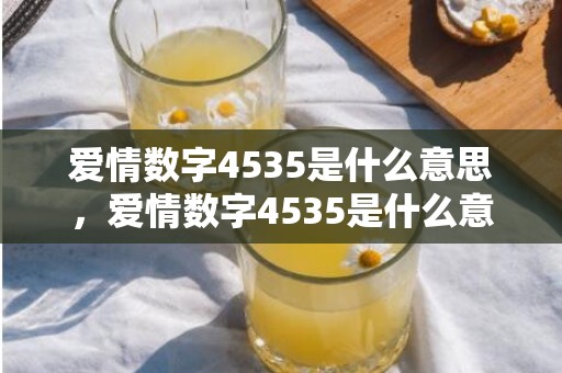 爱情数字4535是什么意思，爱情数字4535是什么意思