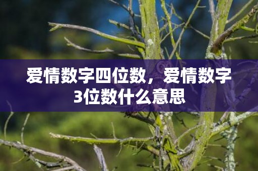 爱情数字四位数，爱情数字3位数什么意思