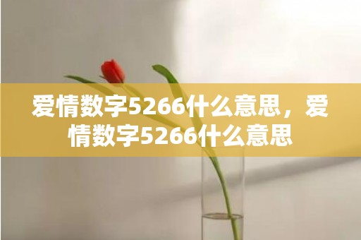 爱情数字5266什么意思，爱情数字5266什么意思