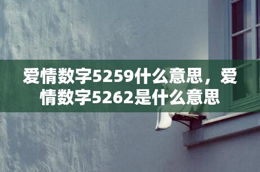 爱情数字5259什么意思，爱情数字5262是什么意思