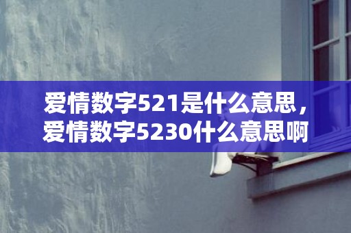 爱情数字521是什么意思，爱情数字5230什么意思啊