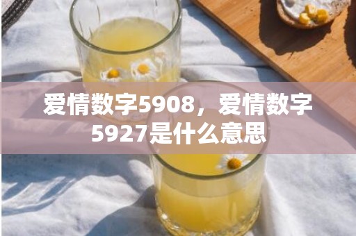 爱情数字5908，爱情数字5927是什么意思