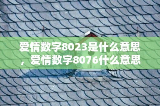 爱情数字8023是什么意思，爱情数字8076什么意思啊