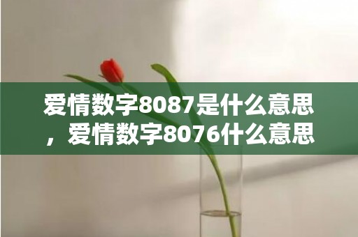 爱情数字8087是什么意思，爱情数字8076什么意思呀