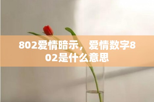 802爱情暗示，爱情数字802是什么意思