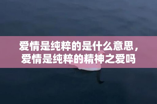 爱情是纯粹的是什么意思，爱情是纯粹的精神之爱吗