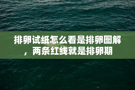 排卵试纸怎么看是排卵图解，两条红线就是排卵期