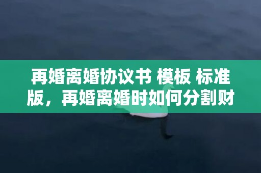 再婚离婚协议书 模板 标准版，再婚离婚时如何分割财产（再婚的夫妻离婚时怎样赔偿）