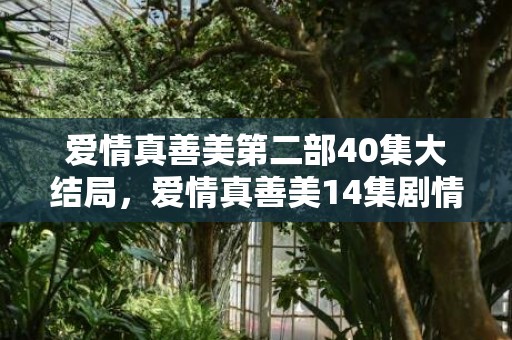 爱情真善美第二部40集大结局，爱情真善美14集剧情简介