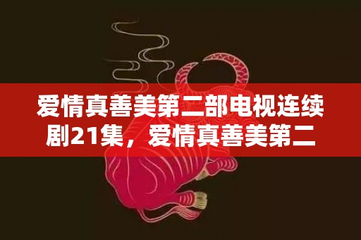 爱情真善美第二部电视连续剧21集，爱情真善美第二部38集剧情