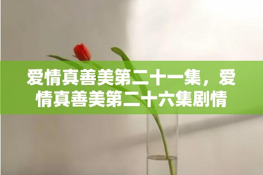 爱情真善美第二十一集，爱情真善美第二十六集剧情