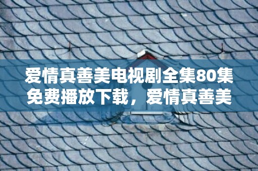 爱情真善美电视剧全集80集免费播放下载，爱情真善美车祸是第几集