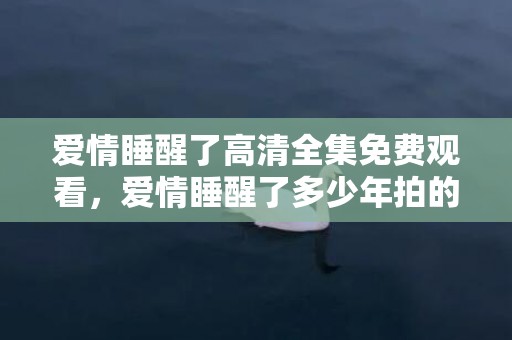 爱情睡醒了高清全集免费观看，爱情睡醒了多少年拍的摄影