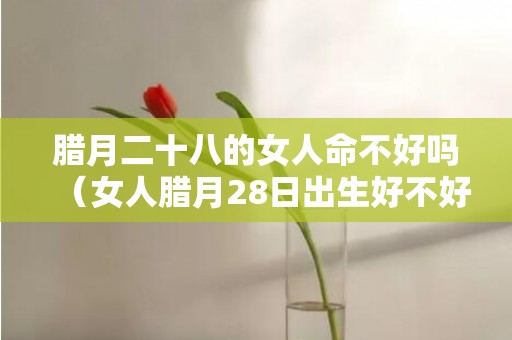 腊月二十八的女人命不好吗（女人腊月28日出生好不好腊月二十八出生的女孩命硬）