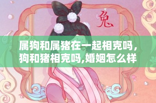 属狗和属猪在一起相克吗，狗和猪相克吗,婚姻怎么样