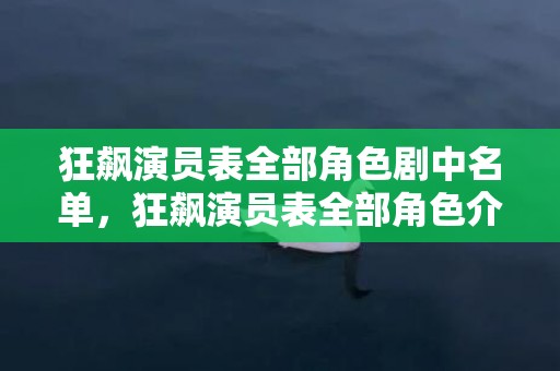 狂飙演员表全部角色剧中名单，狂飙演员表全部角色介绍