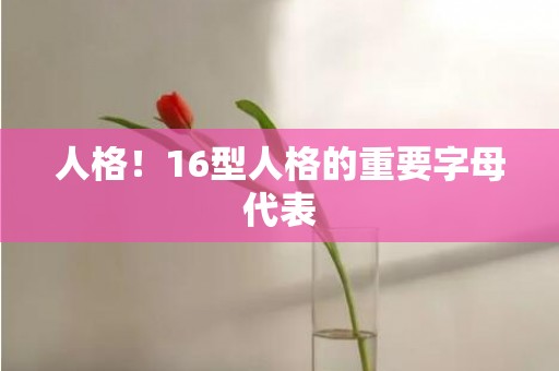 人格！16型人格的重要字母代表