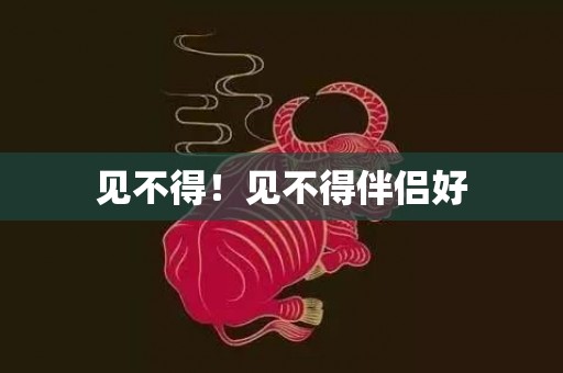 见不得！见不得伴侣好