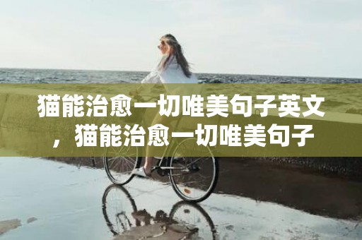 猫能治愈一切唯美句子英文，猫能治愈一切唯美句子