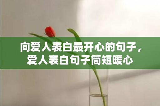 向爱人表白最开心的句子，爱人表白句子简短暖心