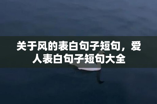 关于风的表白句子短句，爱人表白句子短句大全