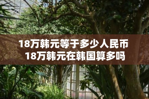 18万韩元等于多少人民币 18万韩元在韩国算多吗