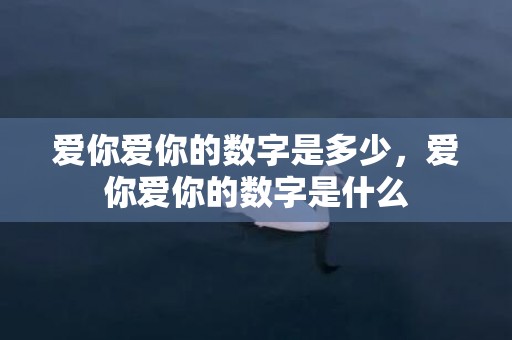 爱你爱你的数字是多少，爱你爱你的数字是什么