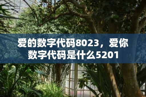 爱的数字代码8023，爱你数字代码是什么5201