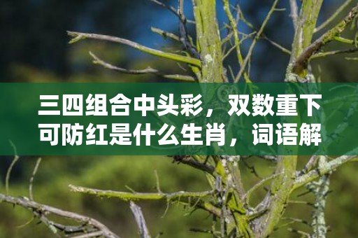 三四组合中头彩，双数重下可防红是什么生肖，词语解释落实