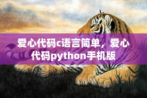 爱心代码c语言简单，爱心代码python手机版