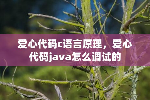 爱心代码c语言原理，爱心代码java怎么调试的