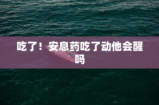 吃了！安息药吃了动他会醒吗