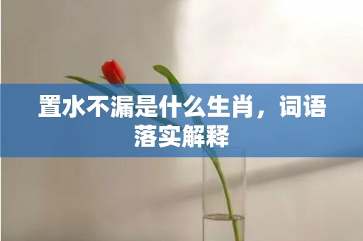 置水不漏是什么生肖，词语落实解释