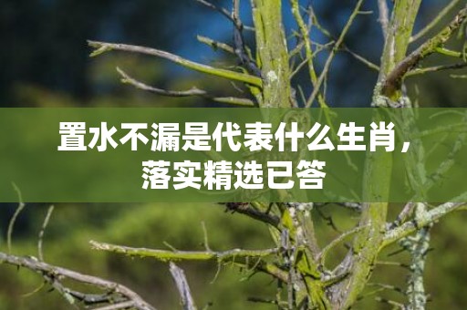 置水不漏是代表什么生肖，落实精选已答