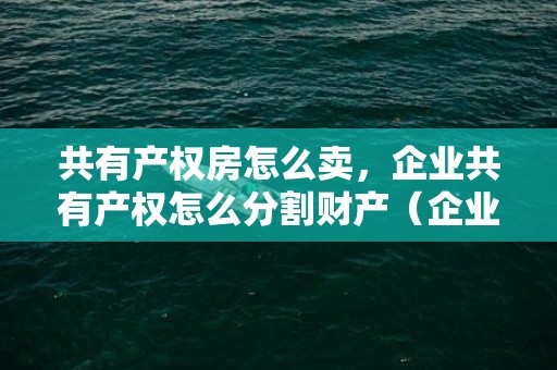 共有产权房怎么卖，企业共有产权怎么分割财产（企业共有财产可以保全吗）