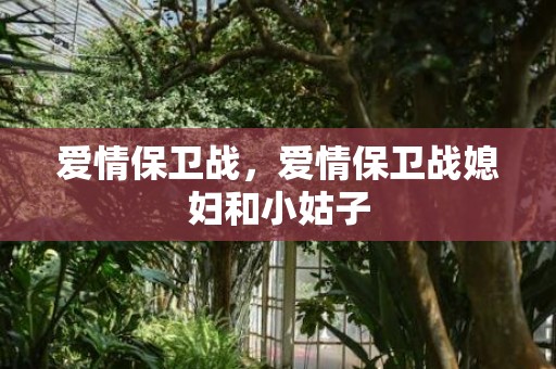 爱情保卫战，爱情保卫战媳妇和小姑子