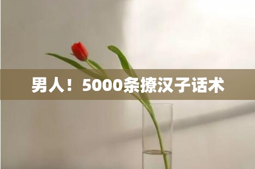 男人！5000条撩汉子话术