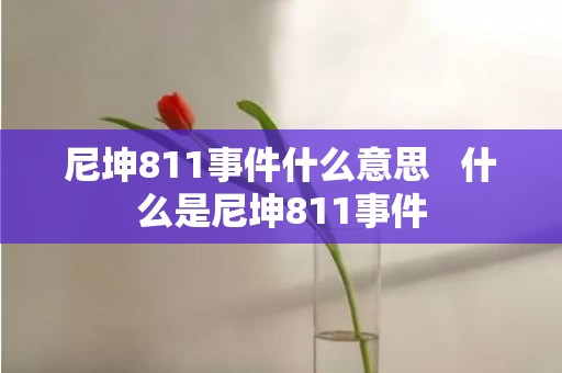 尼坤811事件什么意思   什么是尼坤811事件