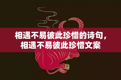 相遇不易彼此珍惜的诗句，相遇不易彼此珍惜文案