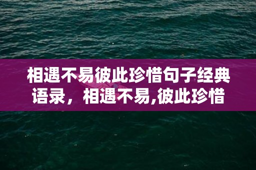 相遇不易彼此珍惜句子经典语录，相遇不易,彼此珍惜短句子