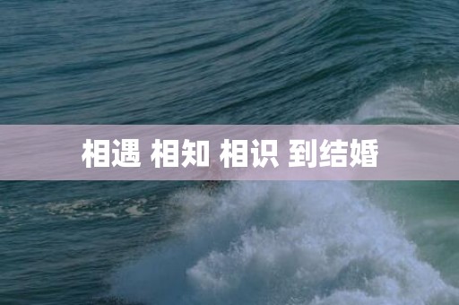 相遇 相知 相识 到结婚