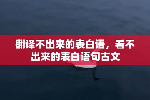 翻译不出来的表白语，看不出来的表白语句古文