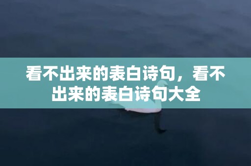 看不出来的表白诗句，看不出来的表白诗句大全